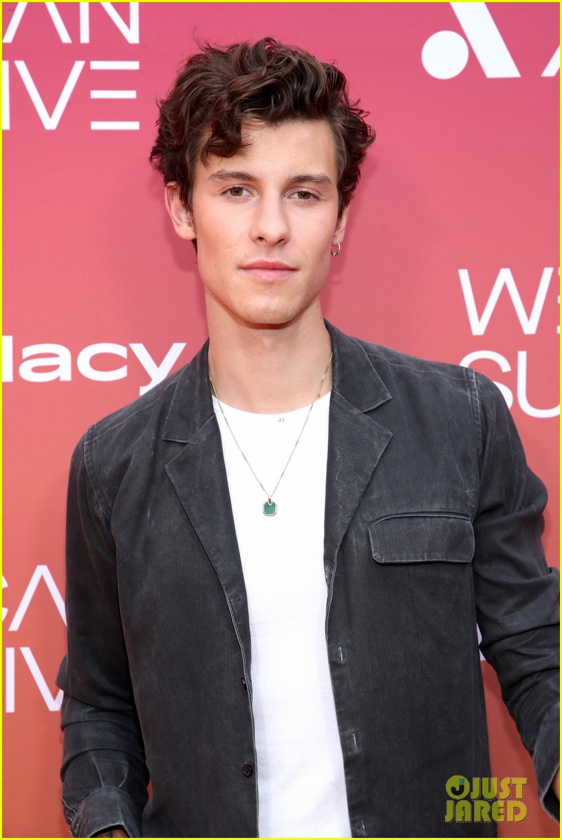 Shawn Mendes To Voice Title Character In Upcoming 'Lyle, Lyle, Crocodile' Movie!