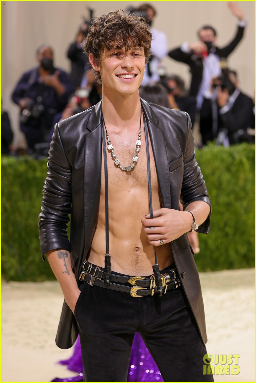 Shawn Mendes To Voice Title Character In Upcoming 'Lyle, Lyle, Crocodile' Movie!