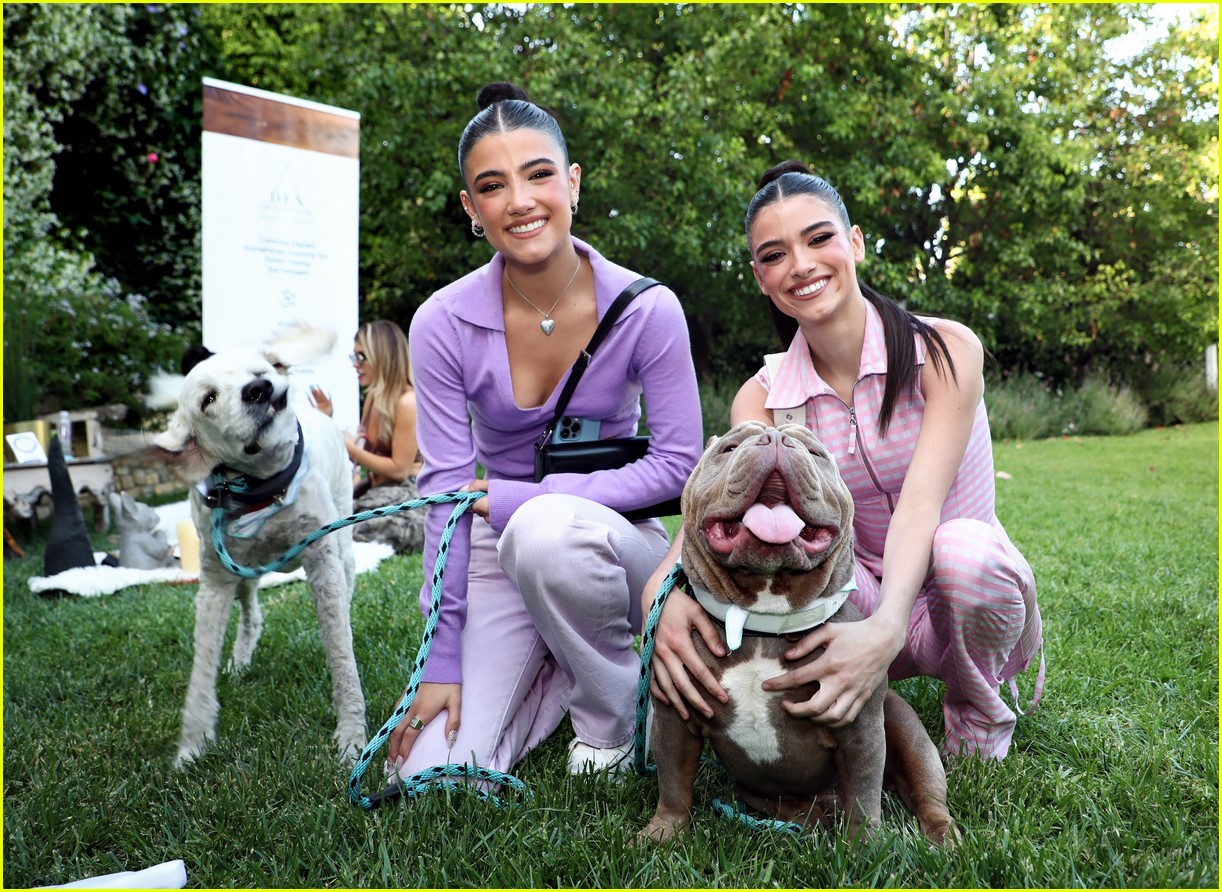 Charli & Dixie D'Amelio Get Mom Heidi a Billboard For Early Mother's Day Gift!