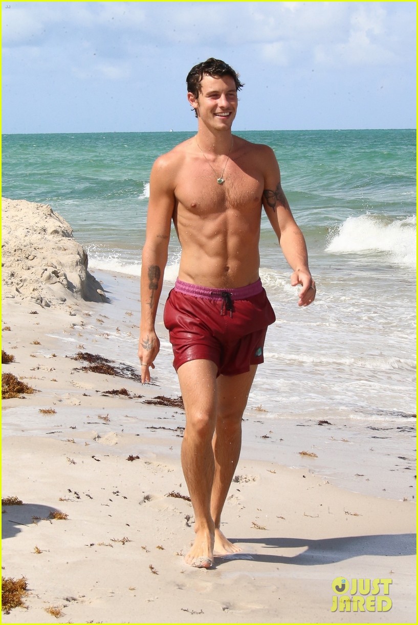 Shawn Mendes Spotted Shirtless at the Beach Ahead of 24th Birthday!
