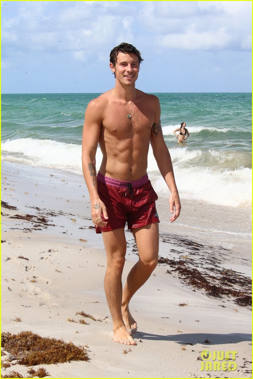 Shawn Mendes Spotted Shirtless at the Beach Ahead of 24th Birthday!