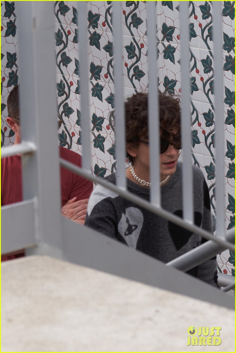 Timothee Chalamet Strikes a Pose at 'Bones & All' Photocall in Rome