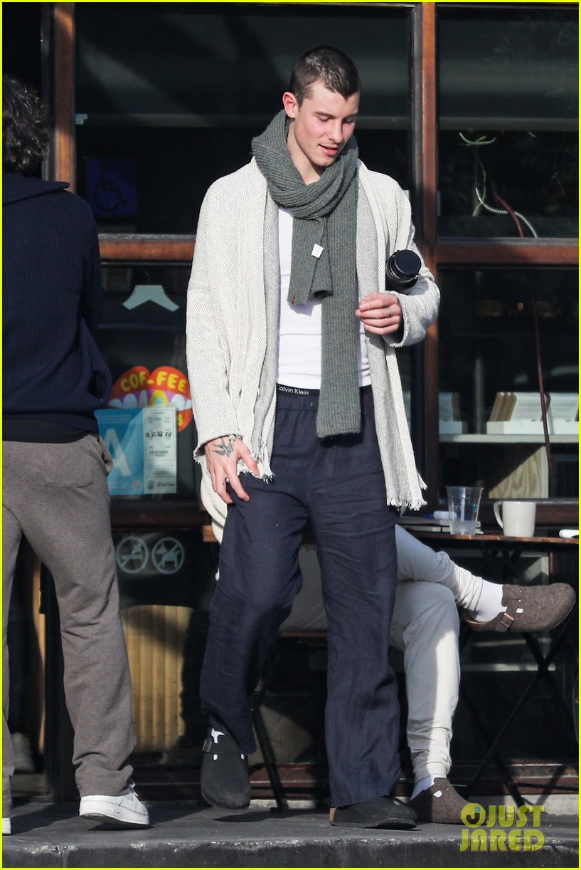Shawn Mendes Steps Out for Breakfast With Freshly Buzzed Head