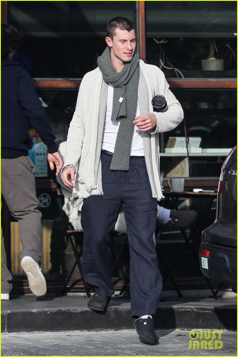 Shawn Mendes Steps Out for Breakfast With Freshly Buzzed Head
