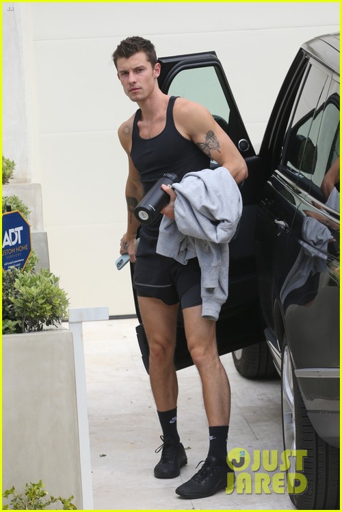 Shawn Mendes Gets in His Gym Pump During Equinox Outing