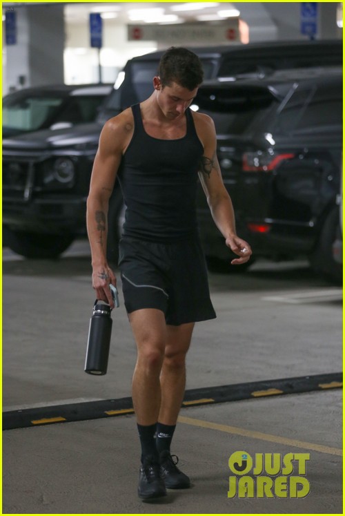 Shawn Mendes Gets in His Gym Pump During Equinox Outing