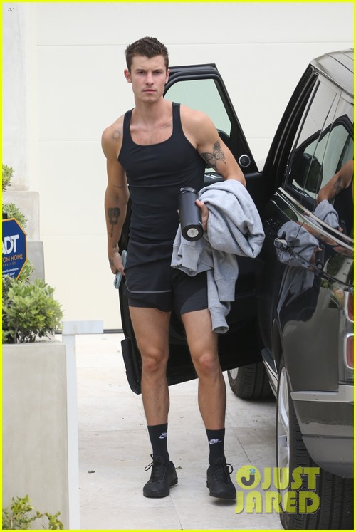 Shawn Mendes Gets in His Gym Pump During Equinox Outing