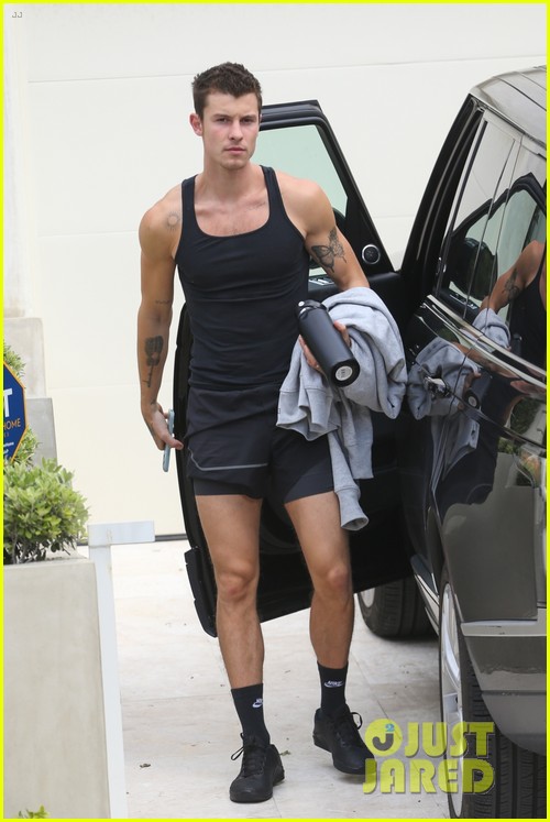 Shawn Mendes Gets in His Gym Pump During Equinox Outing