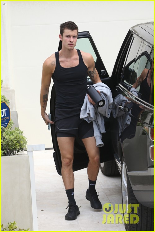 Shawn Mendes Gets in His Gym Pump During Equinox Outing