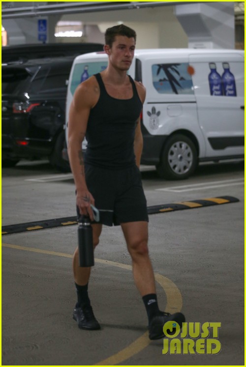Shawn Mendes Gets in His Gym Pump During Equinox Outing