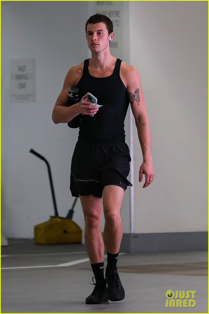 Shawn Mendes Shows Off Chiseled Physique After Gym Session