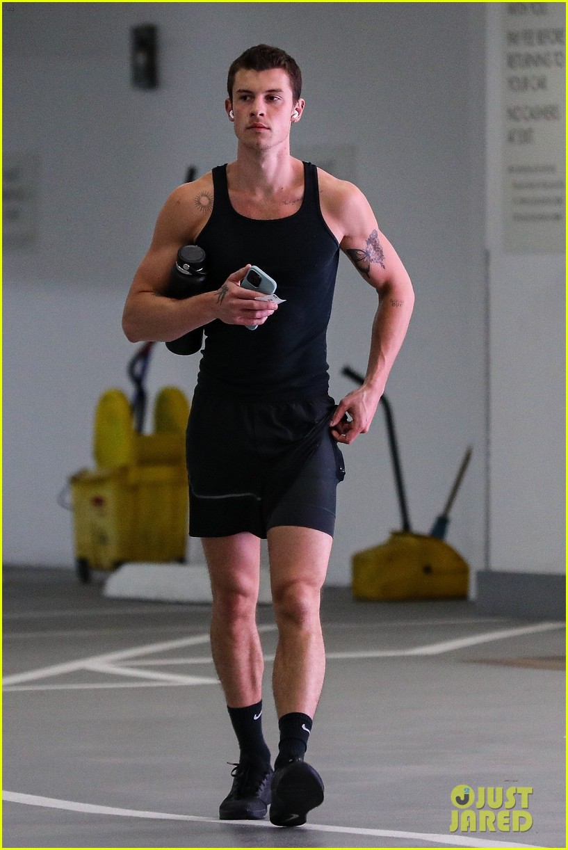 Shawn Mendes Shows Off Chiseled Physique After Gym Session