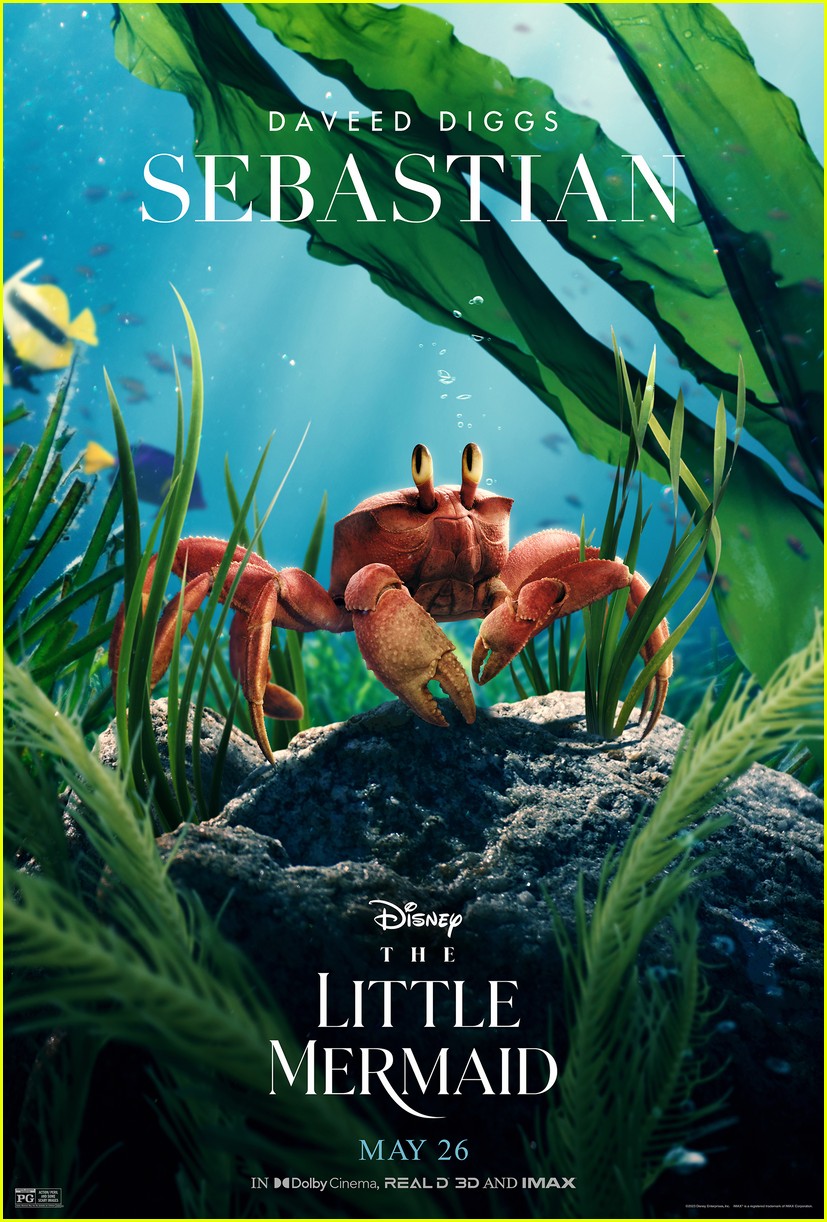 Halle Bailey's Full 'Part of Your World' Released, Plus New Character Posters & New 'The Little Mermaid' Clip
