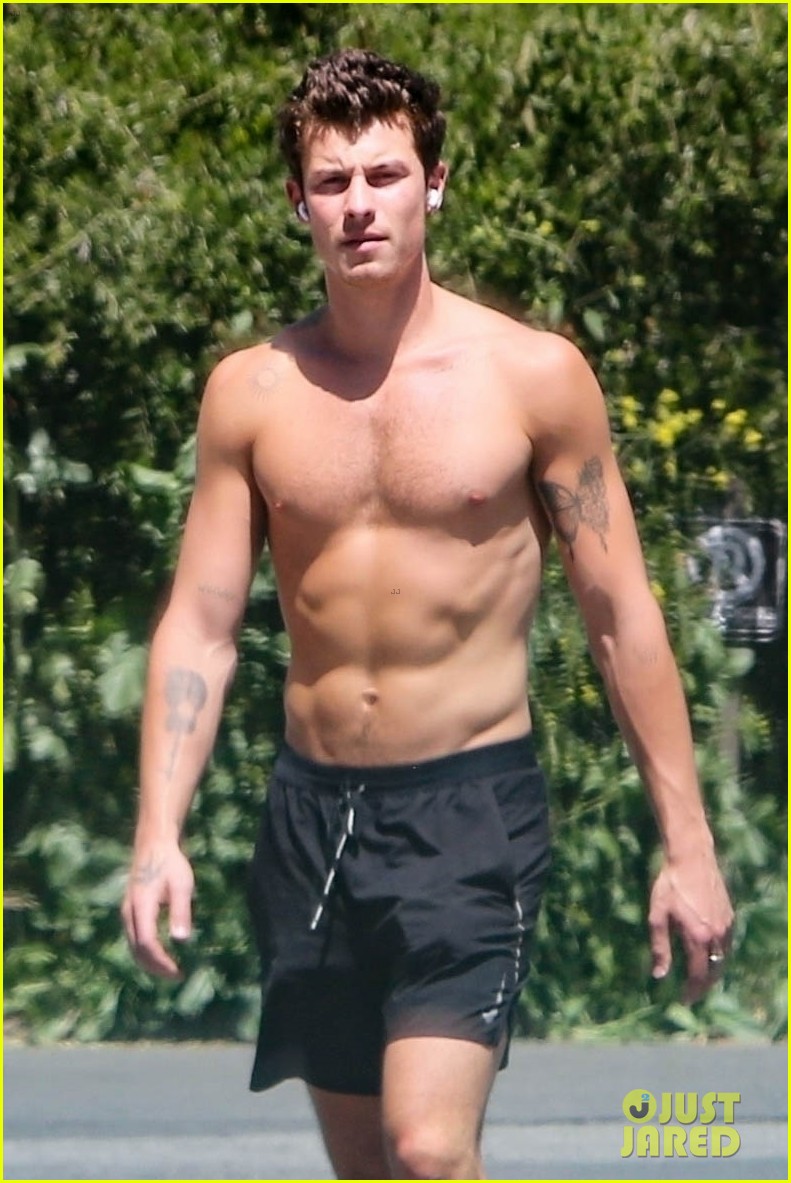 Shawn Mendes Shows Off His Super-Toned Six-Pack During Shirtless Hike Amid Camila Cabello Reunion Rumors
