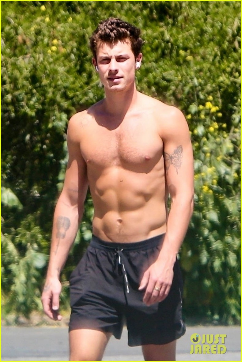 Shawn Mendes Shows Off His Super-Toned Six-Pack During Shirtless Hike Amid Camila Cabello Reunion Rumors