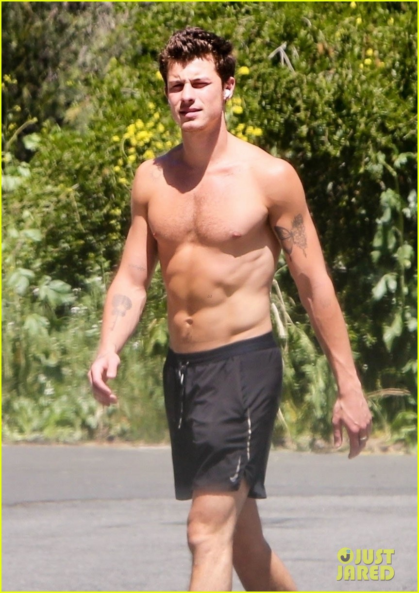 Shawn Mendes Shows Off His Super-Toned Six-Pack During Shirtless Hike Amid Camila Cabello Reunion Rumors