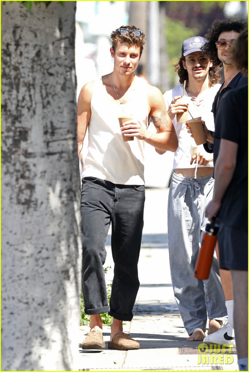 Shawn Mendes Picks Up Healthy Juice During Day Out with Friends
