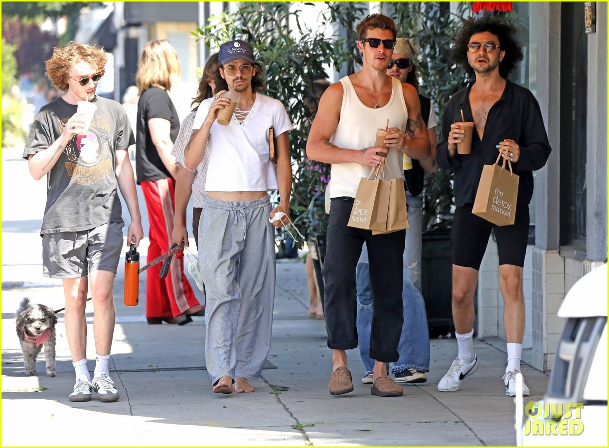 Shawn Mendes Picks Up Healthy Juice During Day Out with Friends