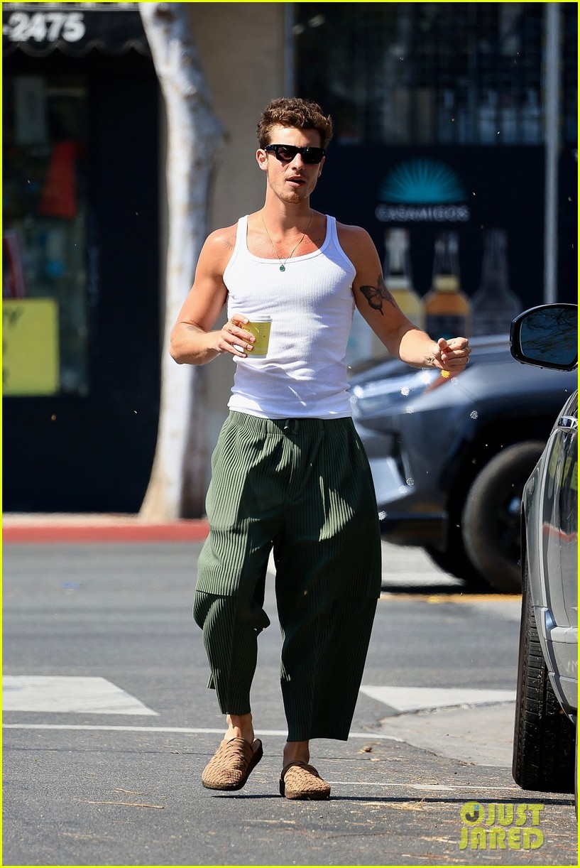 Shawn Mendes Spends the Afternoon Shopping in West Hollywood