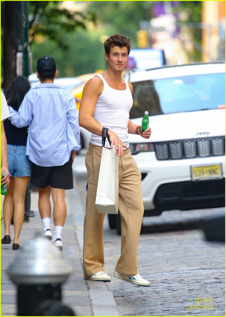 Shawn Mendes & Camila Cabello Spotted on Separate Outings After Holding Hands In NYC