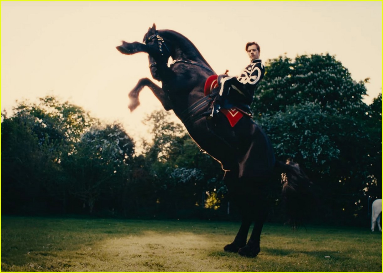 Harry Styles Releases Circus-Themed 'Daylight' Music Video Over a Year After Filming It - Watch Now!